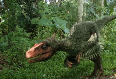 Dinosaurs 101 national geographic society